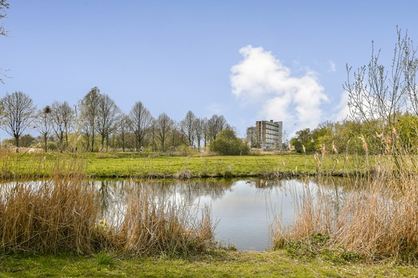 Medium property photo - Blankenbergestraat 43, 1066 TK Amsterdam